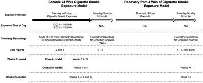 Disruption of Physiological Rhythms Persist Following Cessation of Cigarette Smoke Exposure in Mice